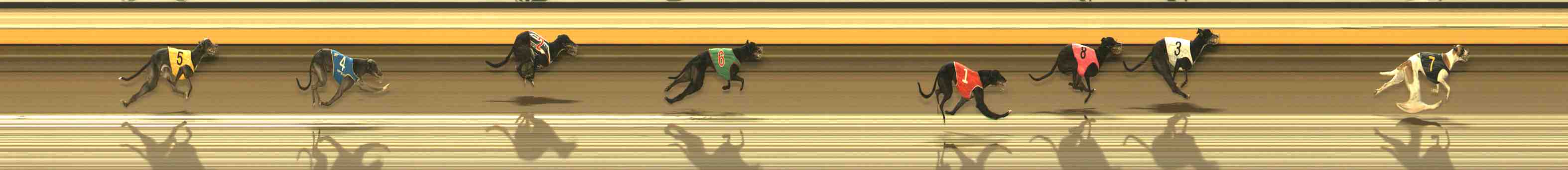 Photo finish for Warrnambool Race 12