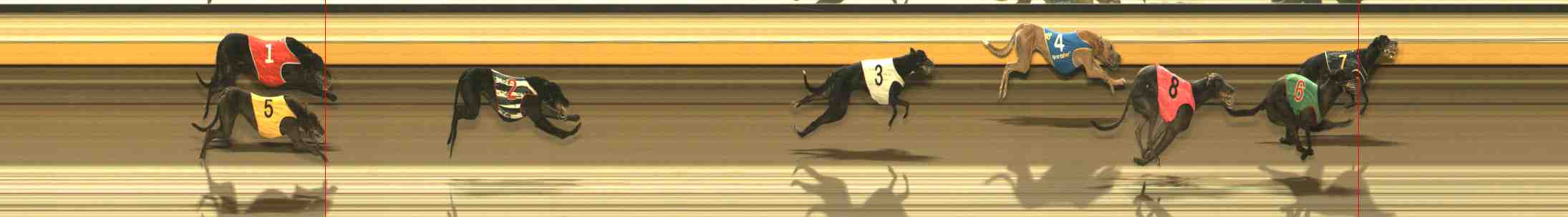Photo finish for Warrnambool Race 13
