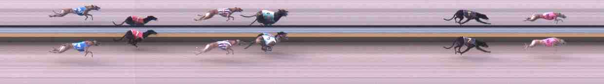 Photo finish for Warrnambool Race 2