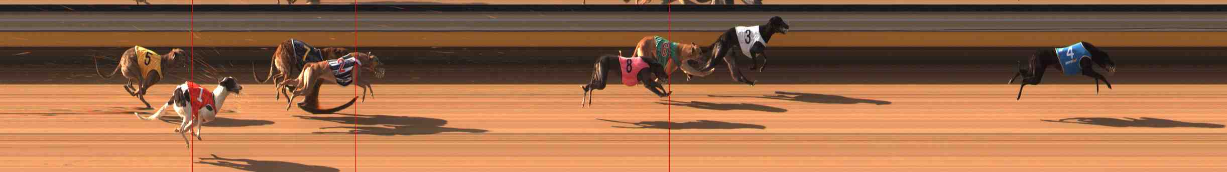 Photo finish for Warrnambool Race 3