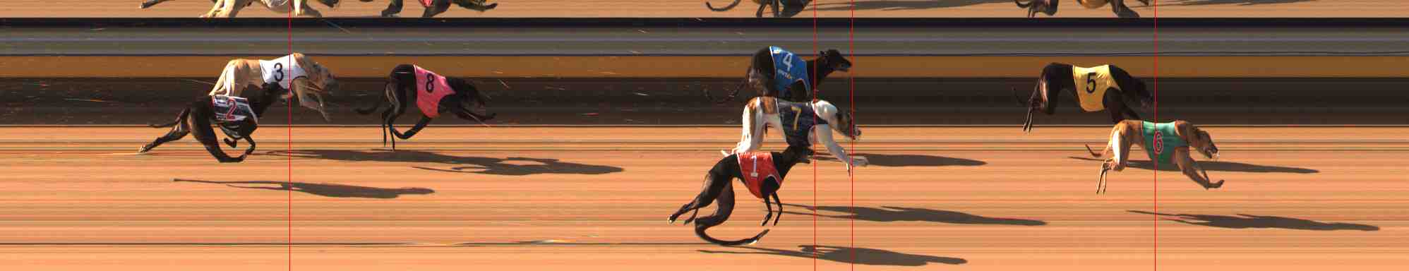 Photo finish for Warrnambool Race 4
