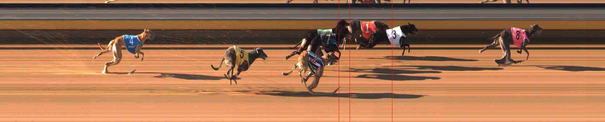 Photo finish for Warrnambool Race 5