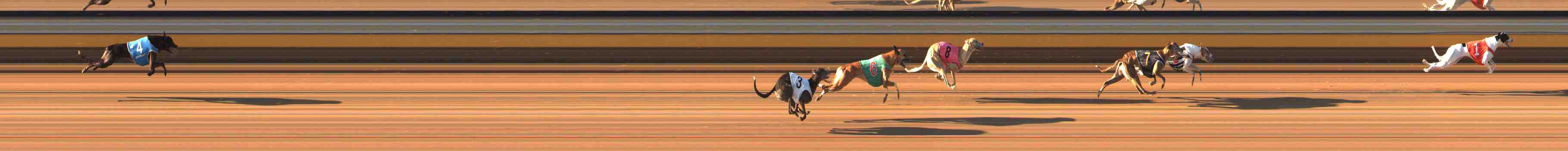 Photo finish for Warrnambool Race 6