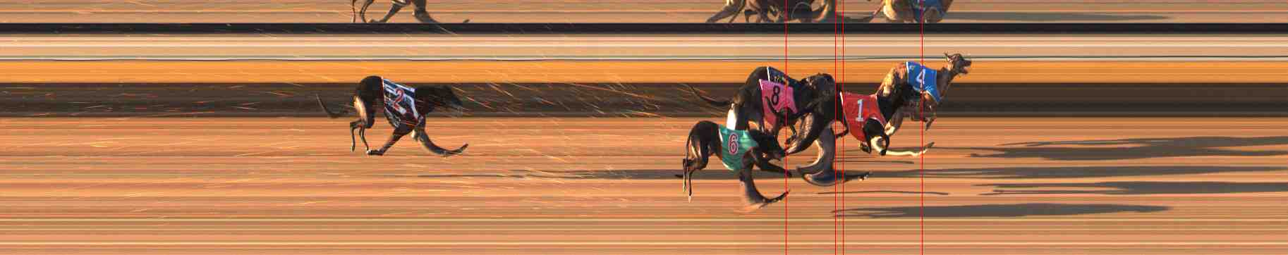 Photo finish for Warrnambool Race 7