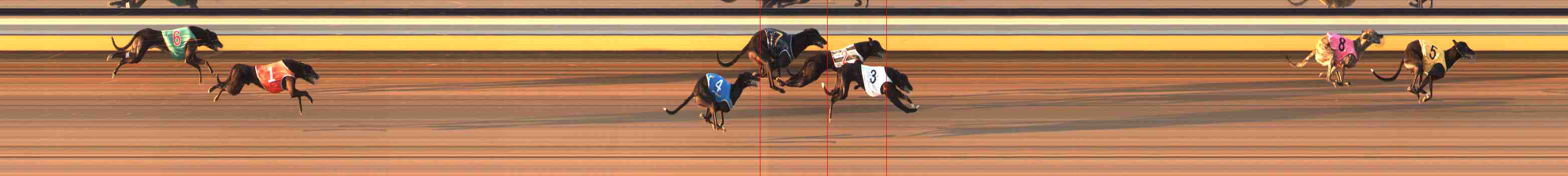 Photo finish for Warrnambool Race 8