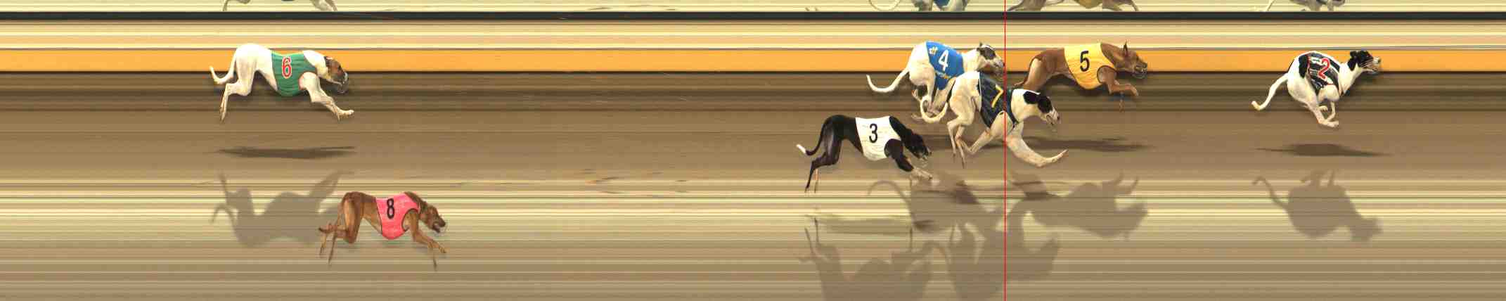 Photo finish for Warrnambool Race 9