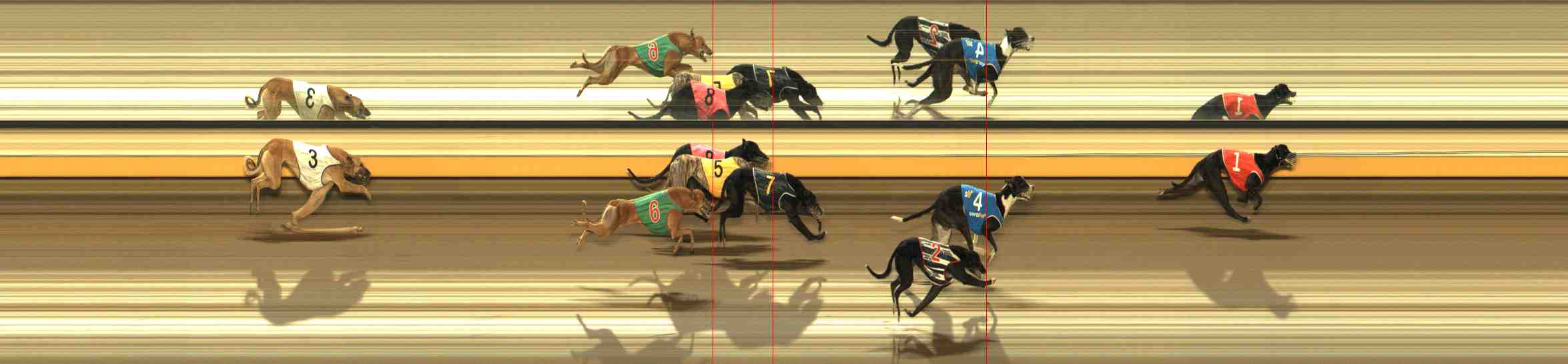 Photo finish for Warrnambool Race 10
