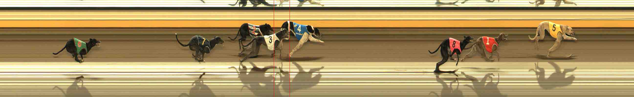 Photo finish for Warrnambool Race 11