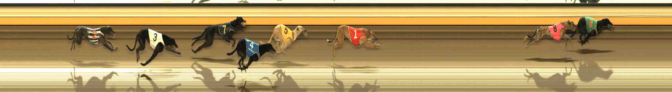 Photo finish for Warrnambool Race 12