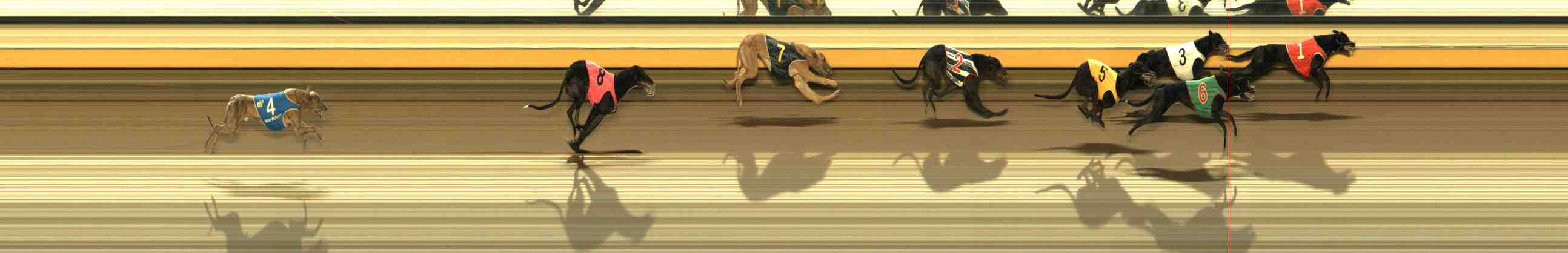 Photo finish for Warrnambool Race 13