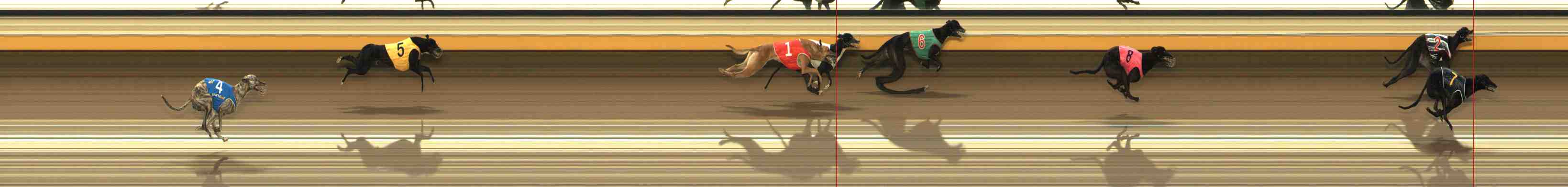 Race result finish photo