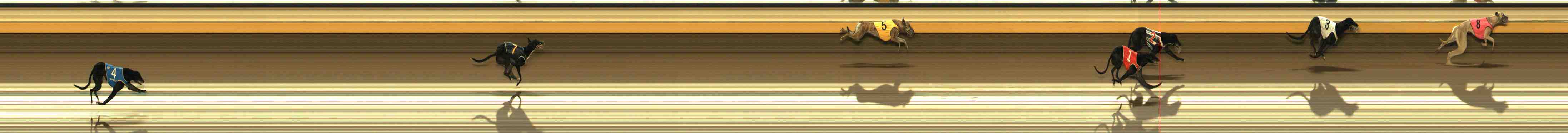Photo finish for Warrnambool Race 2