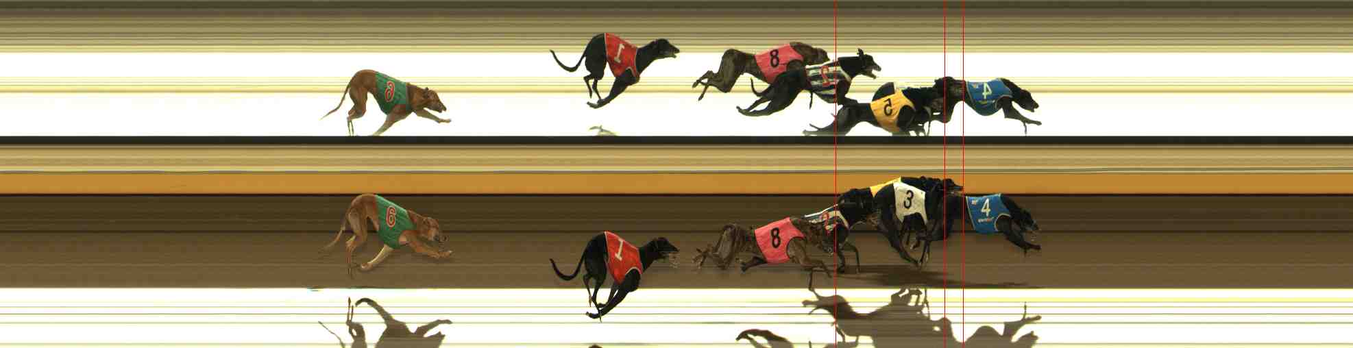 Photo finish for Warrnambool Race 3