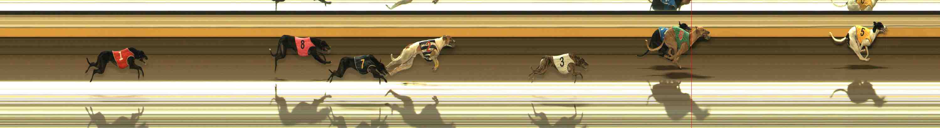 Race result finish photo