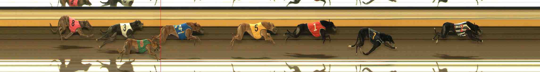 Photo finish for Warrnambool Race 5