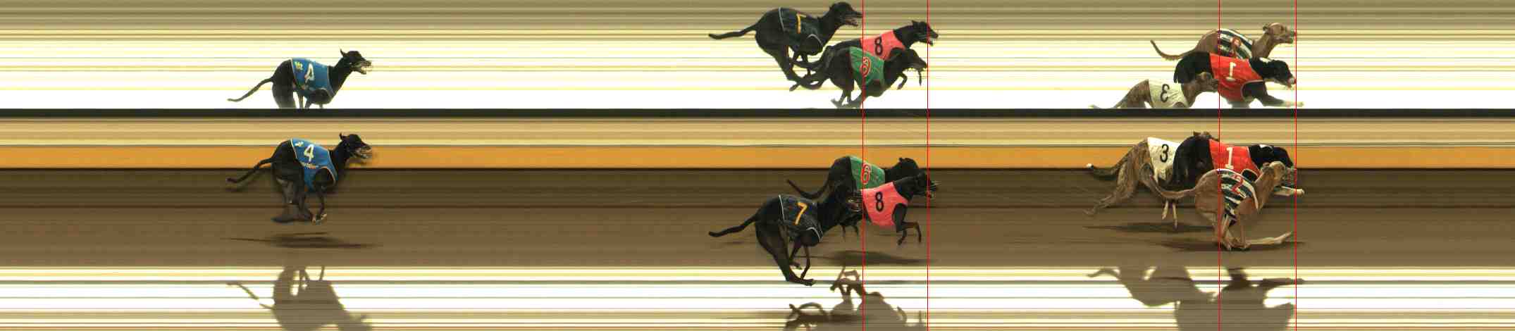 Photo finish for Warrnambool Race 6