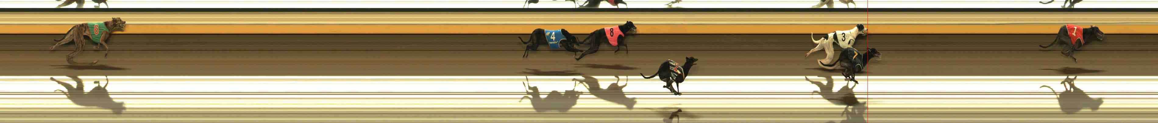 Photo finish for Warrnambool Race 7