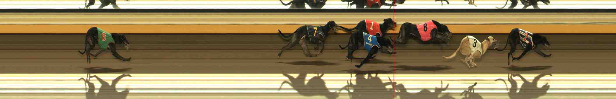 Photo finish for Warrnambool Race 8