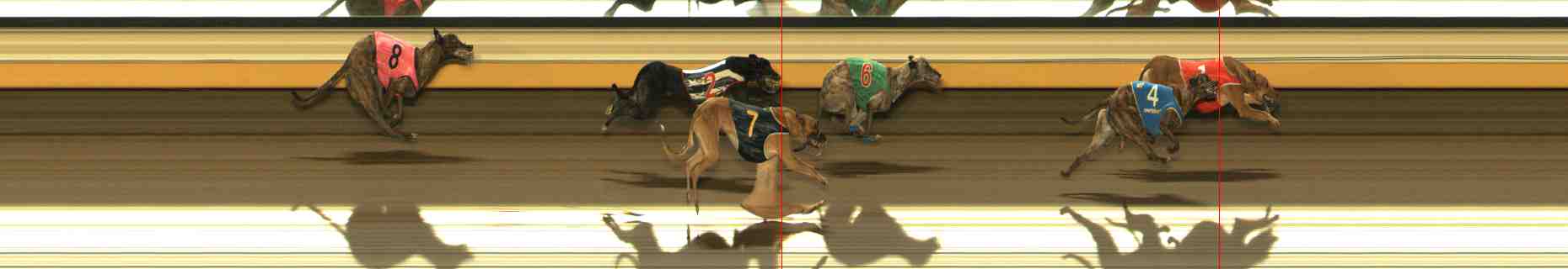 Photo finish for Warrnambool Race 9