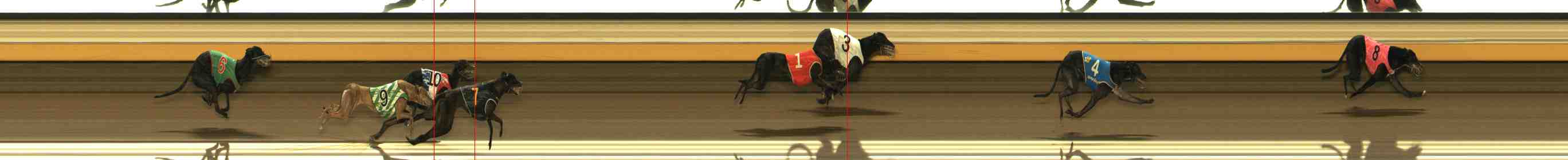 Photo finish for Warrnambool Race 11