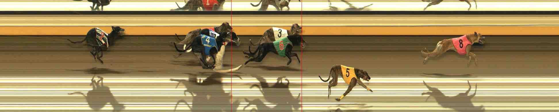 Photo finish for Warrnambool Race 12