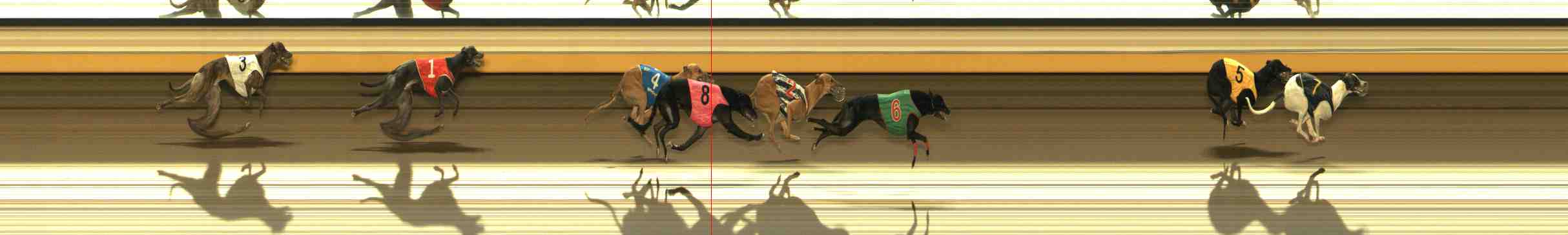 Race result finish photo