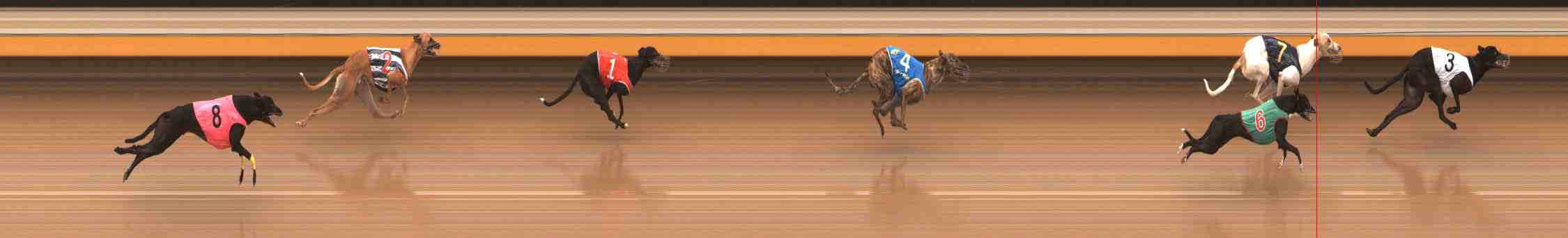 Race result finish photo