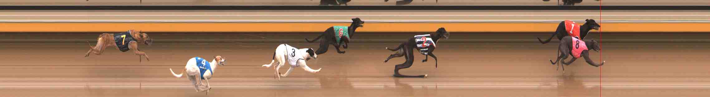 Photo finish for Warrnambool Race 2