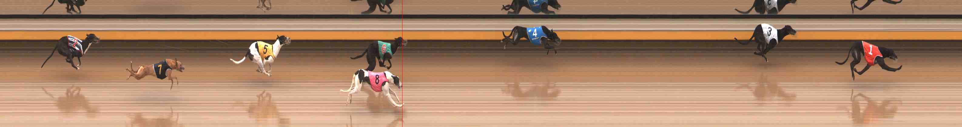 Photo finish for Warrnambool Race 3
