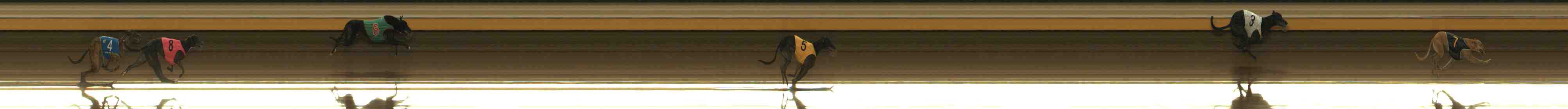 Photo finish for Warrnambool Race 4