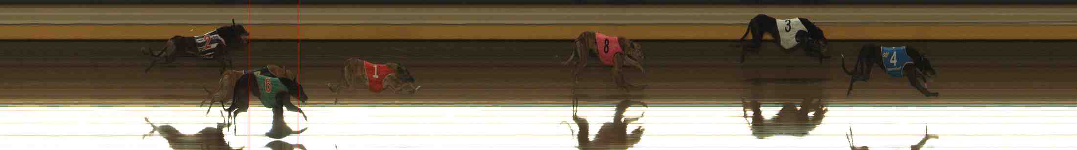 Photo finish for Warrnambool Race 5