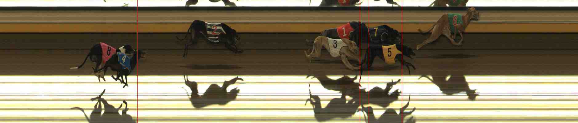 Photo finish for Warrnambool Race 8