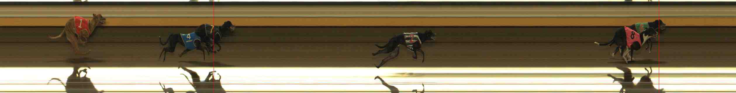 Photo finish for Warrnambool Race 9