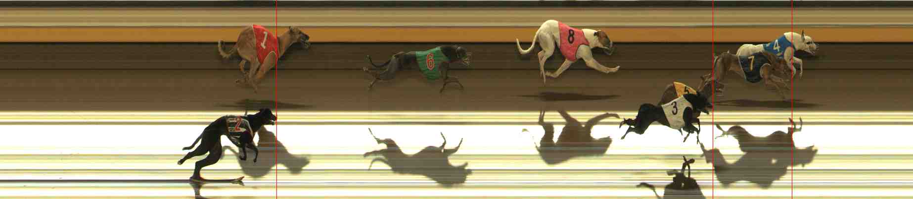 Photo finish for Warrnambool Race 10