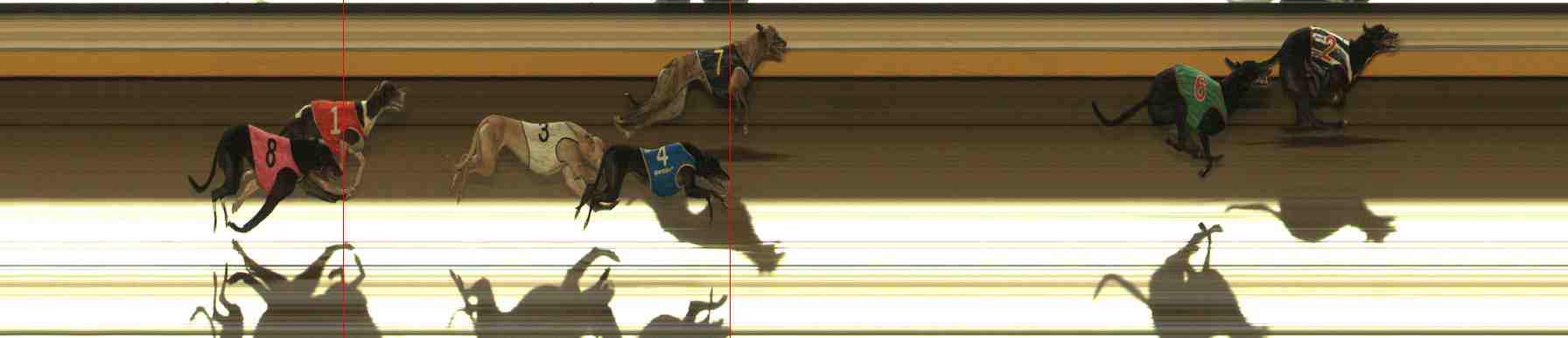 Photo finish for Warrnambool Race 11