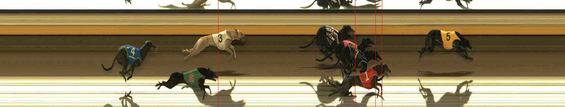 Photo finish for Warrnambool Race 12