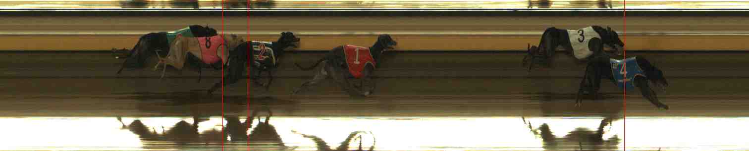 Photo finish for Warrnambool Race 13