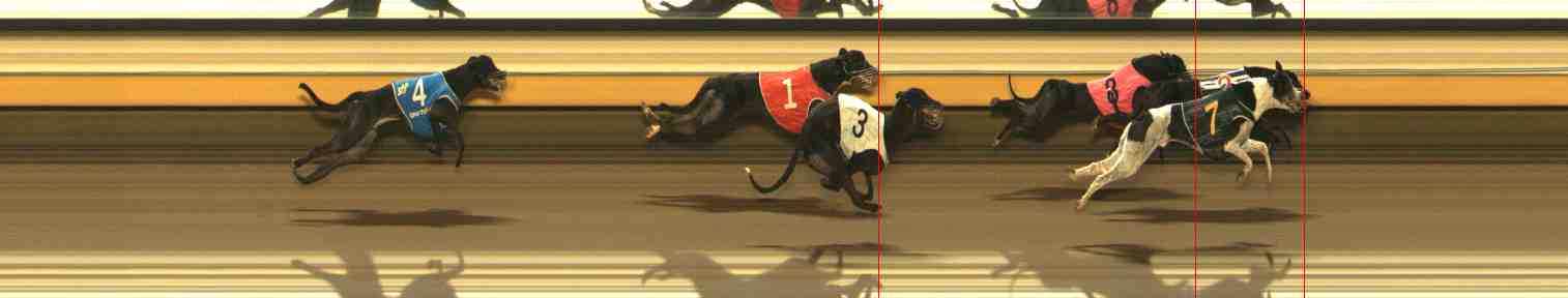 Photo finish for Warrnambool Race 3