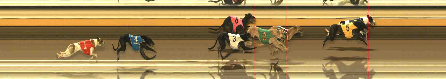 Photo finish for Warrnambool Race 4