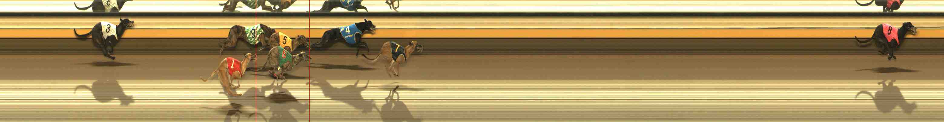 Photo finish for Warrnambool Race 5