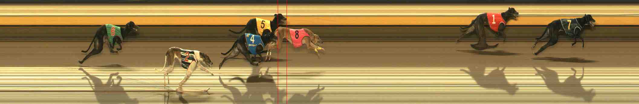 Photo finish for Warrnambool Race 6
