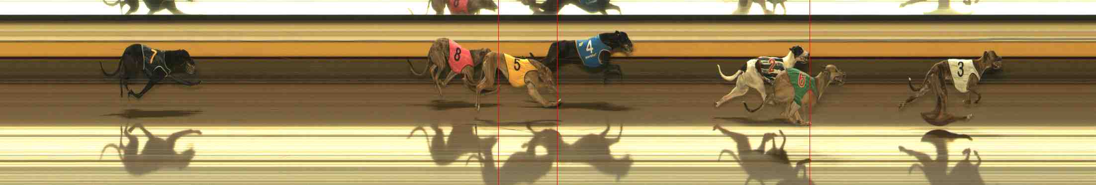 Photo finish for Warrnambool Race 7