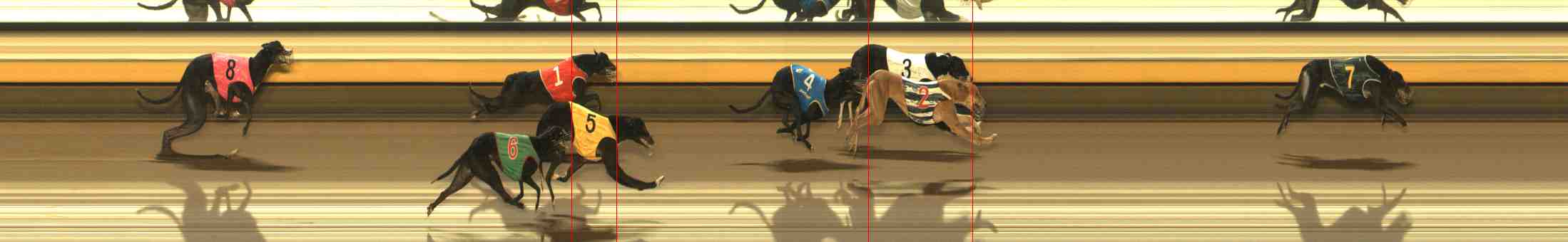 Photo finish for Warrnambool Race 8