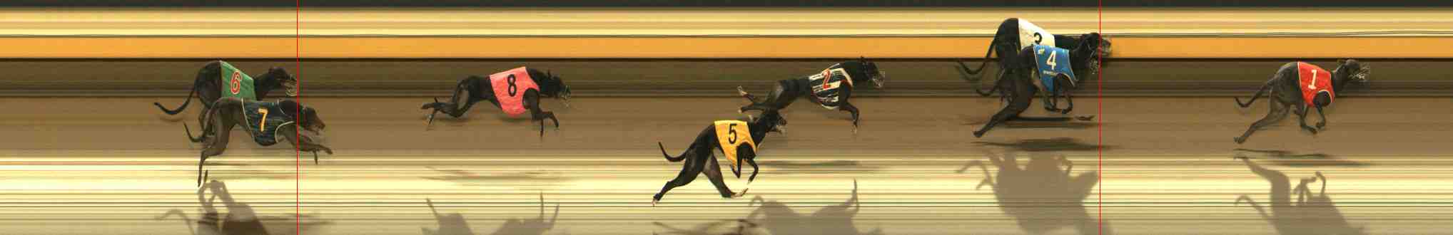 Photo finish for Warrnambool Race 10