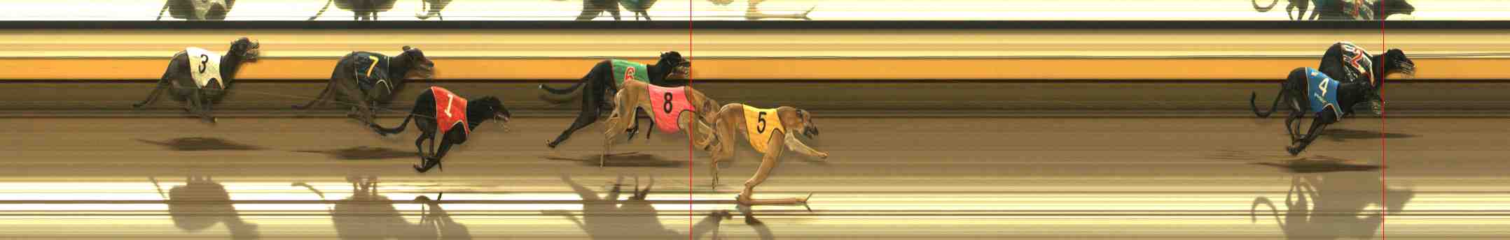 Photo finish for Warrnambool Race 11