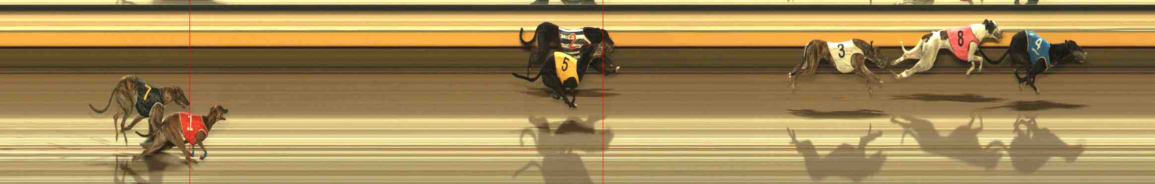Photo finish for Warrnambool Race 12