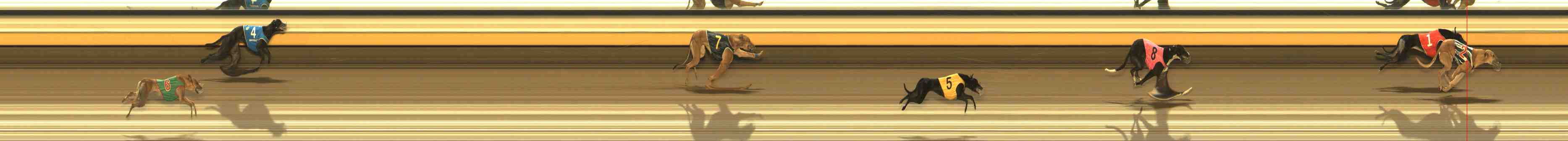 Photo finish for Warrnambool Race 13