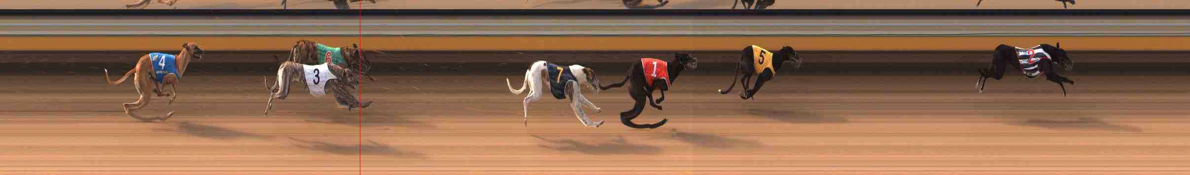 Photo finish for Warrnambool Race 1