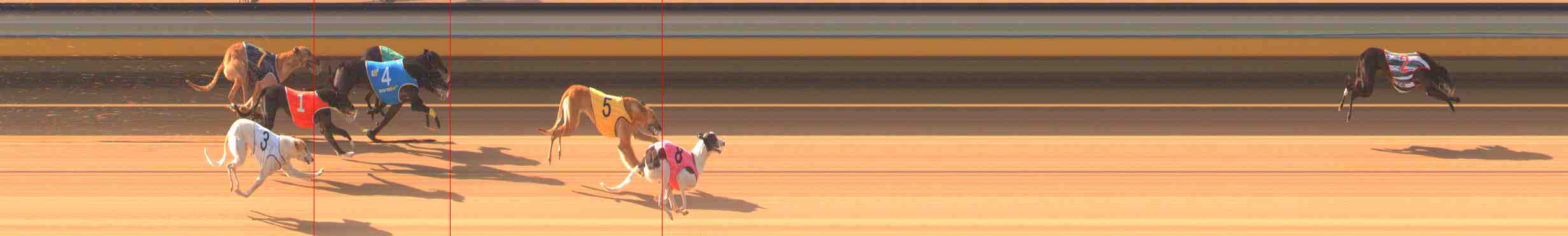 Photo finish for Warrnambool Race 2