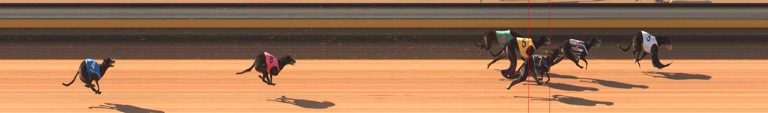 Photo finish for Warrnambool Race 3